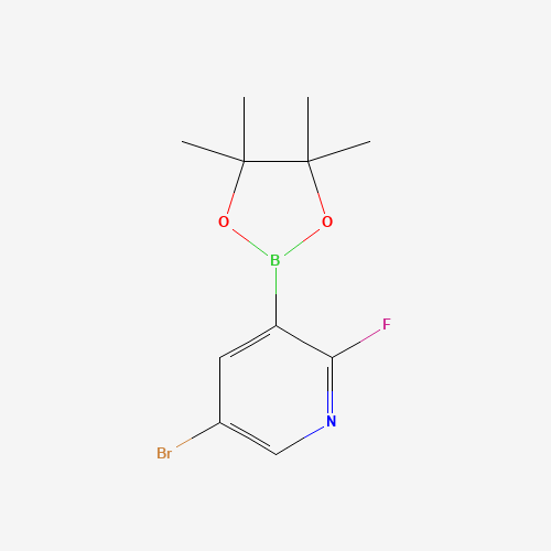 5-bromo-2-fluoro-3-(4,4,5,5-tetramethyl-1,3,2-dioxaborolan-2-yl)pyridine (CAS: 1073353-50-0) - Related Chemical Product