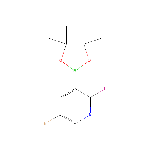 5-bromo-2-fluoro-3-(4,4,5,5-tetramethyl-1,3,2-dioxaborolan-2-yl)pyridine (CAS: 1073353-50-0) - Related Chemical Product