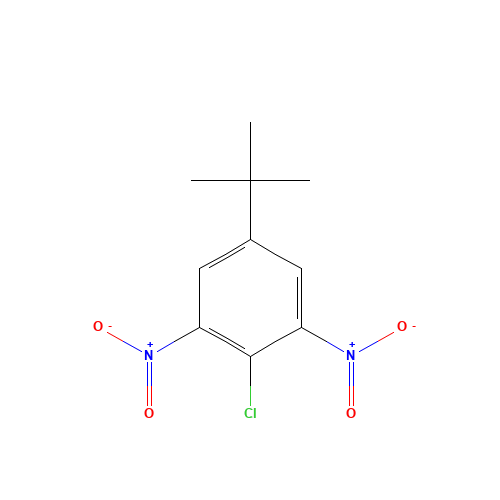 5-tert-butyl-2-chloro-1,3-dinitrobenzene (CAS: 2213-81-2) - Related Chemical Product