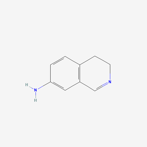 3,4-dihydroisoquinolin-7-amine (CAS: 62541-60-0) - Related Chemical Product