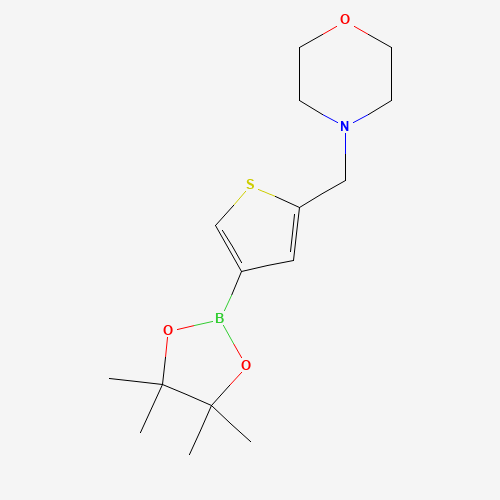 4-[[4-(4,4,5,5-tetramethyl-1,3,2-dioxaborolan-2-yl)thiophen-2-yl]methyl]morpholine (CAS: 364794-85-4) - Related Chemical Product