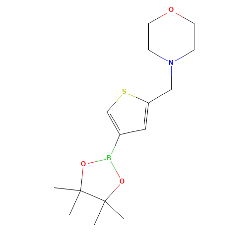 4-[[4-(4,4,5,5-tetramethyl-1,3,2-dioxaborolan-2-yl)thiophen-2-yl]methyl]morpholine (CAS: 364794-85-4) - Related Chemical Product