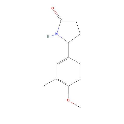5-(4-methoxy-3-methylphenyl)pyrrolidin-2-one (CAS: 874497-14-0) - Related Chemical Product