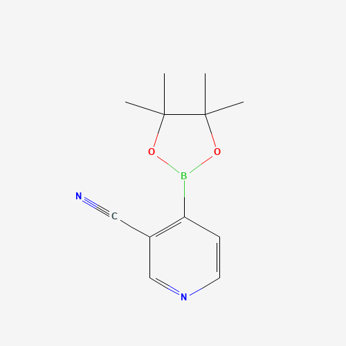 4-(4,4,5,5-tetramethyl-1,3,2-dioxaborolan-2-yl)pyridine-3-carbonitrile (CAS: 878194-92-4) - Related Chemical Product