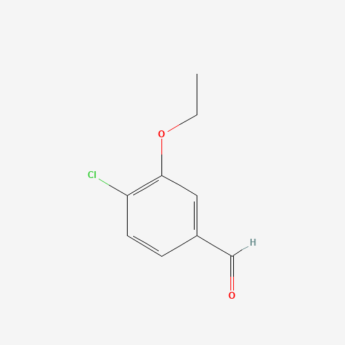 4-chloro-3-ethoxybenzaldehyde (CAS: 85259-46-7) - Related Chemical Product