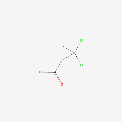 2,2-dichlorocyclopropane-1-carbonyl chloride (CAS: 5365-15-1) - Related Chemical Product