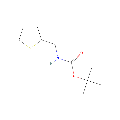 tert-butyl N-(thiolan-2-ylmethyl)carbamate (CAS: 873306-47-9) - Related Chemical Product