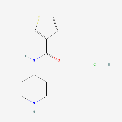 N-piperidin-4-ylthiophene-3-carboxamide;hydrochloride (CAS: 1185314-33-3) - Related Chemical Product