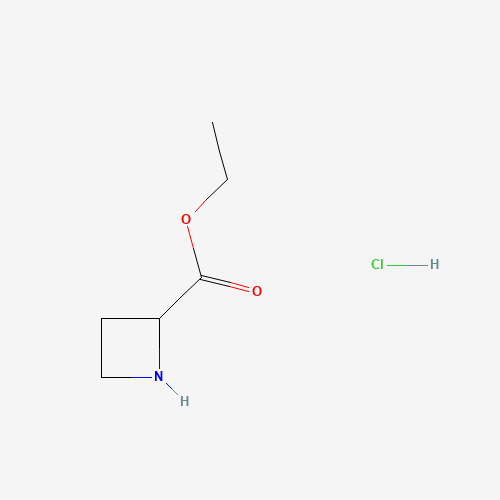 ethyl azetidine-2-carboxylate;hydrochloride (CAS: 162698-21-7) - Related Chemical Product