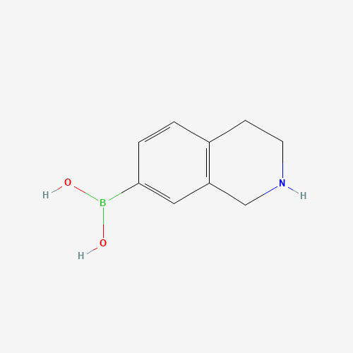 1,2,3,4-tetrahydroisoquinolin-7-ylboronic acid (CAS: 1096359-11-3) - Related Chemical Product