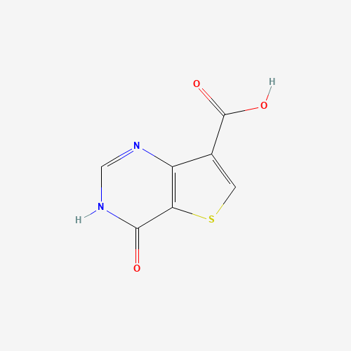 4-oxo-1H-thieno[3,2-d]pyrimidine-7-carboxylic acid (CAS: 1527518-33-7) - Related Chemical Product