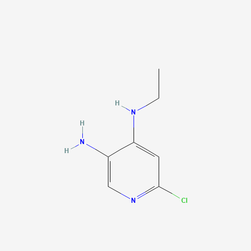 6-chloro-4-N-ethylpyridine-3,4-diamine (CAS: 1025509-66-3) - Related Chemical Product