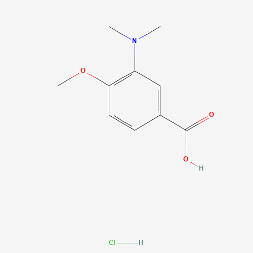 3-(dimethylamino)-4-methoxybenzoic acid;hydrochloride (CAS: 1253850-61-1) - Related Chemical Product