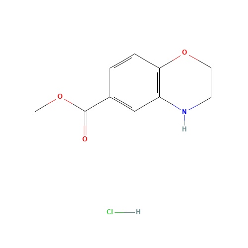 methyl 3,4-dihydro-2H-1,4-benzoxazine-6-carboxylate;hydrochloride (CAS: 648449-54-1) - Related Chemical Product