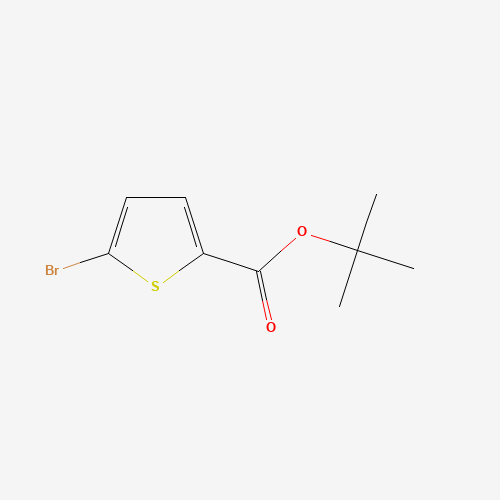 tert-butyl 5-bromothiophene-2-carboxylate (CAS: 62224-20-8) - Related Chemical Product