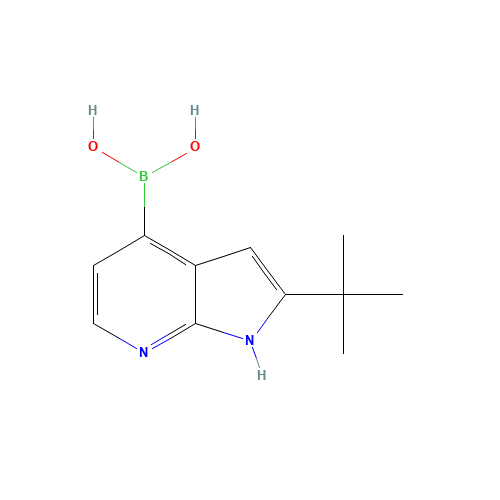 (2-tert-butyl-1H-pyrrolo[2,3-b]pyridin-4-yl)boronic acid (CAS: 1089669-71-5) - Related Chemical Product
