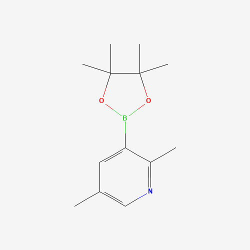 2,5-dimethyl-3-(4,4,5,5-tetramethyl-1,3,2-dioxaborolan-2-yl)pyridine (CAS: 1309980-12-8) - Related Chemical Product