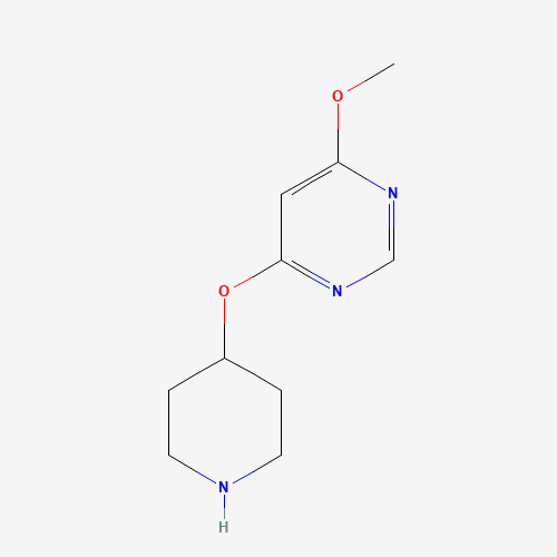 4-methoxy-6-piperidin-4-yloxypyrimidine (CAS: 1263387-61-6) - Related Chemical Product