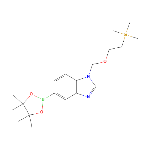 trimethyl-[2-[[5-(4,4,5,5-tetramethyl-1,3,2-dioxaborolan-2-yl)benzimidazol-1-yl]methoxy]ethyl]silane (CAS: 317830-46-9) - Related Chemical Product