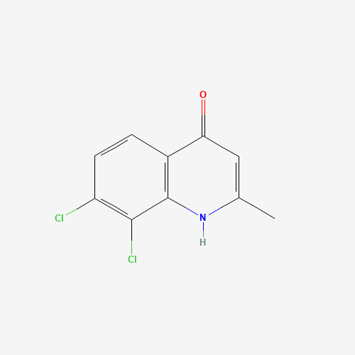 7,8-dichloro-2-methyl-1H-quinolin-4-one (CAS: 203626-50-0) - Related Chemical Product