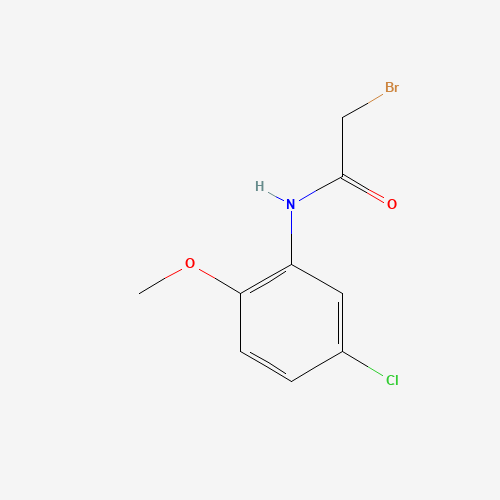 2-bromo-N-(5-chloro-2-methoxyphenyl)acetamide (CAS: 130965-95-6) - Related Chemical Product