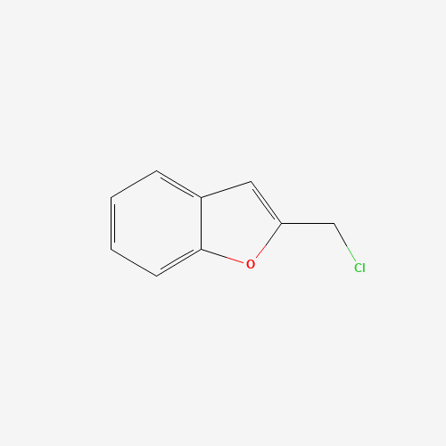 2-(chloromethyl)-1-benzofuran (CAS: 36754-60-6) - Related Chemical Product