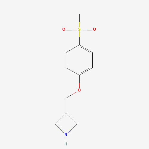 3-[(4-methylsulfonylphenoxy)methyl]azetidine (CAS: 1332301-05-9) - Related Chemical Product