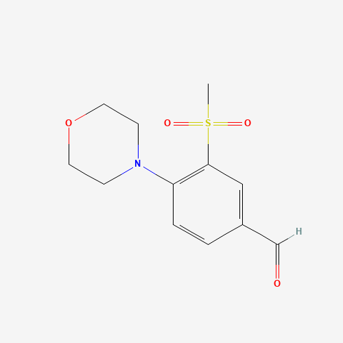3-methylsulfonyl-4-morpholin-4-ylbenzaldehyde (CAS: 1197193-23-9) - Related Chemical Product