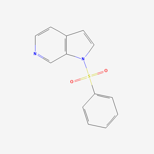 1-(benzenesulfonyl)pyrrolo[2,3-c]pyridine (CAS: 867034-27-3) - Related Chemical Product