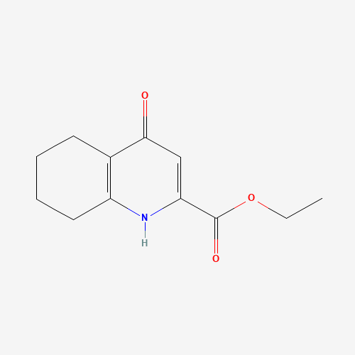 ethyl 4-oxo-5,6,7,8-tetrahydro-1H-quinoline-2-carboxylate (CAS: 1352724-20-9) - Related Chemical Product