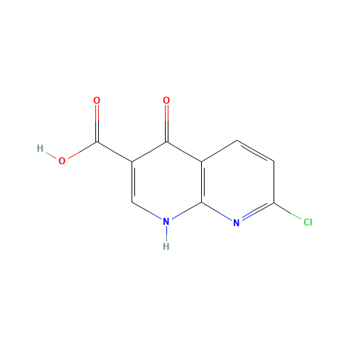 7-chloro-4-oxo-1H-1,8-naphthyridine-3-carboxylic acid (CAS: 54563-42-7) - Related Chemical Product