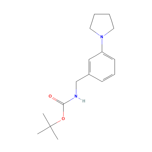 tert-butyl N-[(3-pyrrolidin-1-ylphenyl)methyl]carbamate (CAS: 828242-06-4) - Related Chemical Product