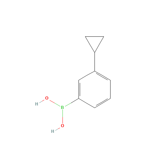 (3-cyclopropylphenyl)boronic acid (CAS: 1049730-10-0) - Related Chemical Product