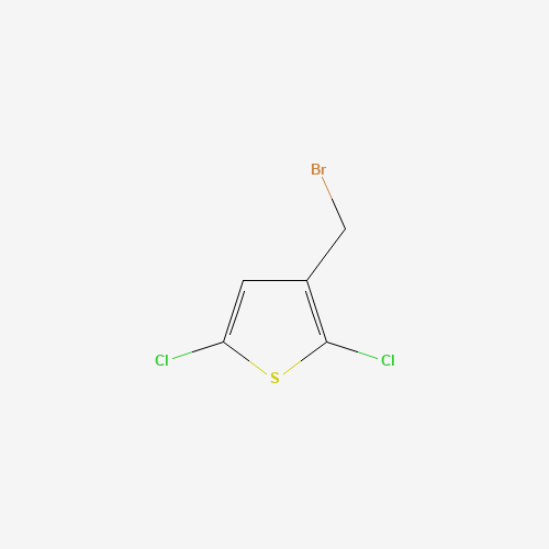3-(bromomethyl)-2,5-dichlorothiophene (CAS: 63826-68-6) - Related Chemical Product