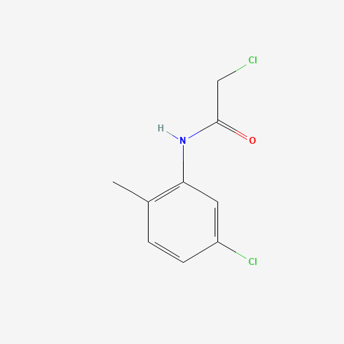 2-chloro-N-(5-chloro-2-methylphenyl)acetamide (CAS: 85817-60-3) - Related Chemical Product