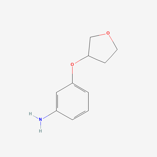 3-(oxolan-3-yloxy)aniline (CAS: 929194-95-6) - Related Chemical Product
