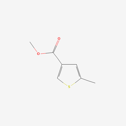 methyl 5-methylthiophene-3-carboxylate (CAS: 88770-18-7) - Related Chemical Product