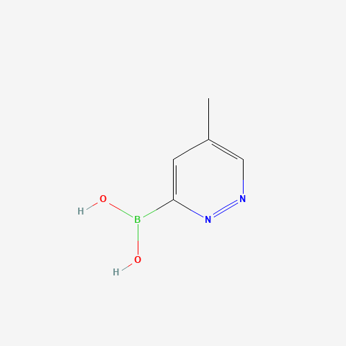 (5-methylpyridazin-3-yl)boronic acid (CAS: 1579278-22-0) - Related Chemical Product