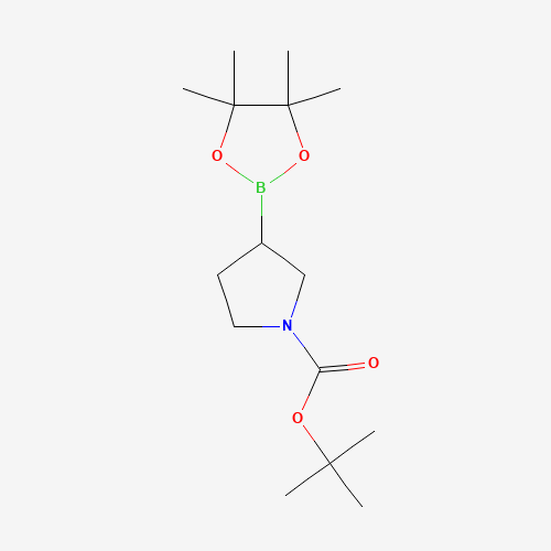 tert-butyl 3-(4,4,5,5-tetramethyl-1,3,2-dioxaborolan-2-yl)pyrrolidine-1-carboxylate (CAS: 1312712-22-3) - Related Chemical Product