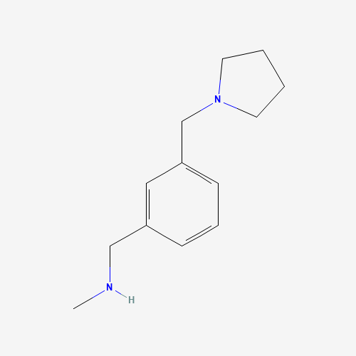 N-methyl-1-[3-(pyrrolidin-1-ylmethyl)phenyl]methanamine (CAS: 884507-46-4) - Related Chemical Product