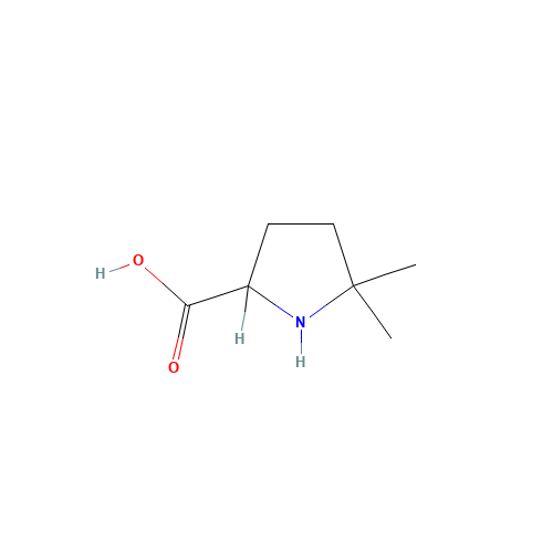5,5-dimethylpyrrolidine-2-carboxylic acid (CAS: 146954-59-8) - Related Chemical Product