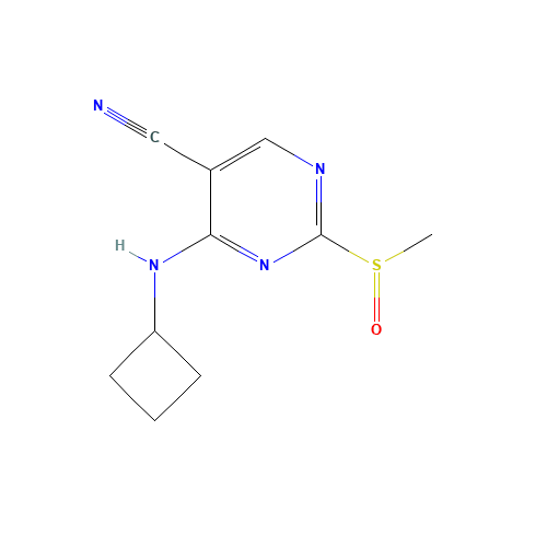 4-(cyclobutylamino)-2-methylsulfinylpyrimidine-5-carbonitrile (CAS: 1403864-89-0) - Related Chemical Product