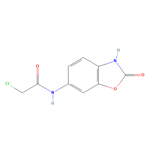2-chloro-N-(2-oxo-3H-1,3-benzoxazol-6-yl)acetamide (CAS: 496056-68-9) - Related Chemical Product