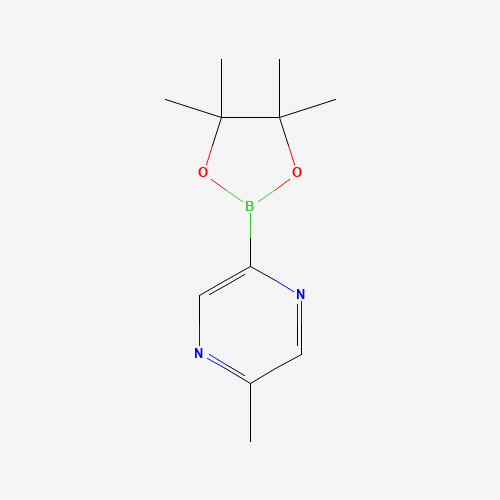 2-methyl-5-(4,4,5,5-tetramethyl-1,3,2-dioxaborolan-2-yl)pyrazine (CAS: 1101205-24-6) - Related Chemical Product