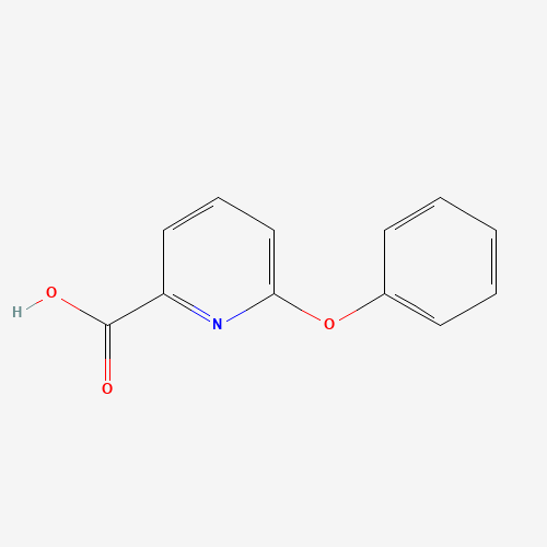 6-phenoxypyridine-2-carboxylic acid (CAS: 51362-40-4) - Related Chemical Product