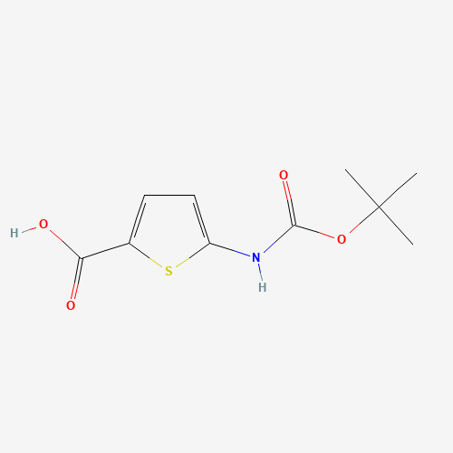 5-[(2-methylpropan-2-yl)oxycarbonylamino]thiophene-2-carboxylic acid (CAS: 1094071-11-0) - Related Chemical Product