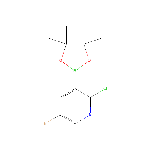5-bromo-2-chloro-3-(4,4,5,5-tetramethyl-1,3,2-dioxaborolan-2-yl)pyridine (CAS: 1073354-79-6) - Related Chemical Product