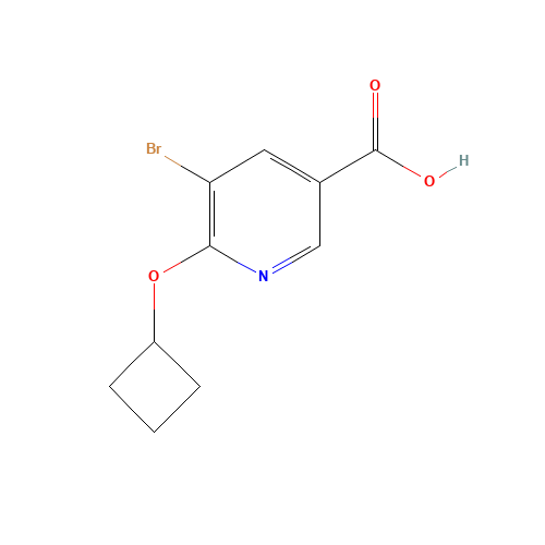 5-bromo-6-cyclobutyloxypyridine-3-carboxylic acid (CAS: 1364678-46-5) - Chemical Structure and Molecular Formula 