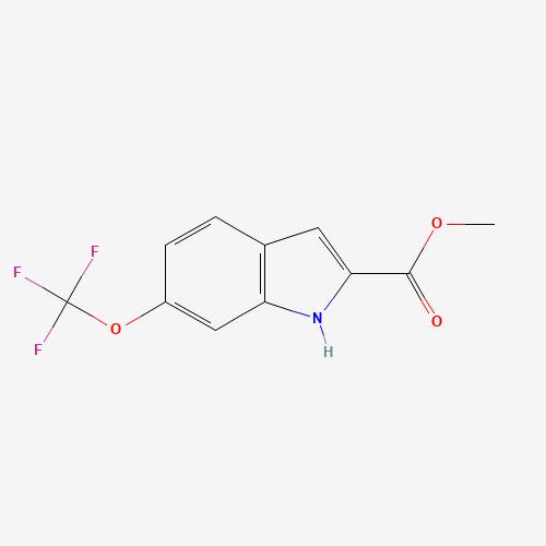 methyl 6-(trifluoromethoxy)-1H-indole-2-carboxylate (CAS: 1154319-87-5) - Related Chemical Product