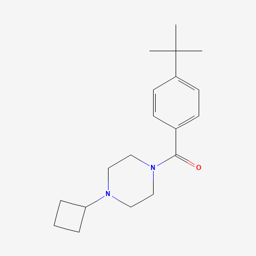(4-tert-butylphenyl)-(4-cyclobutylpiperazin-1-yl)methanone (CAS: 1000405-00-4) - Related Chemical Product
